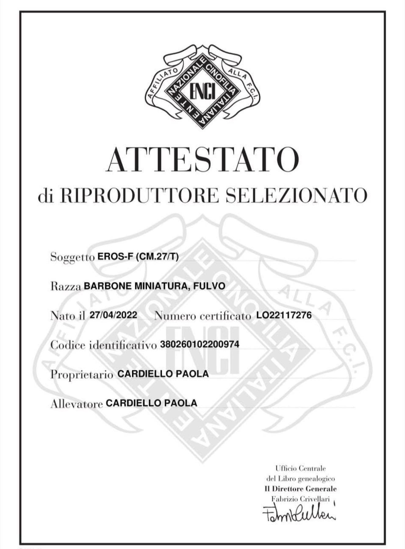 Attestato ENCI di riproduttore di barboncino toy selezionato